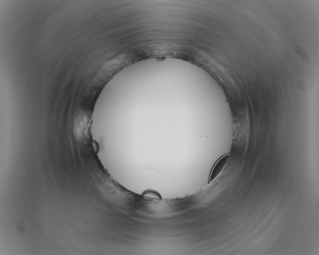 X0000112050142200908181144