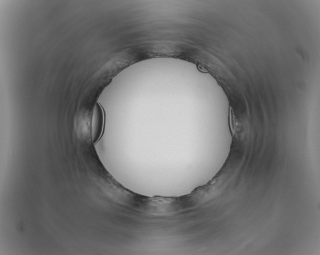 X0000112050143200908181144