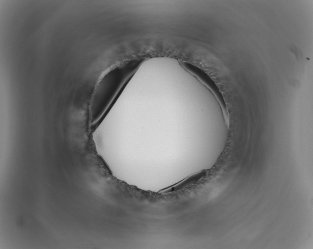 X0000112050144200908181144