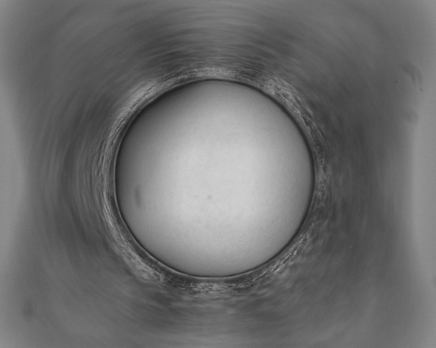 X0000112050145200908181143