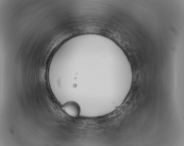 X0000112050146200908181143