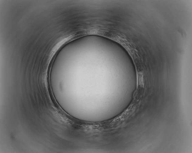 X0000112050147200908181143