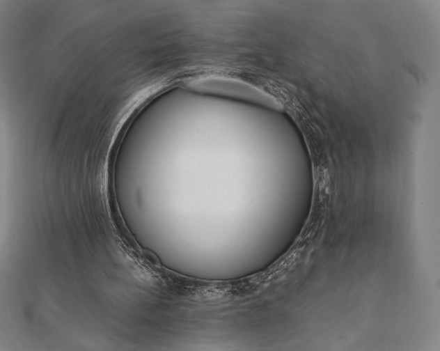 X0000112050148200908181143