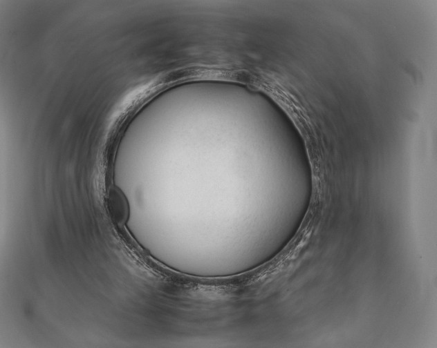 X0000112050149200908181143