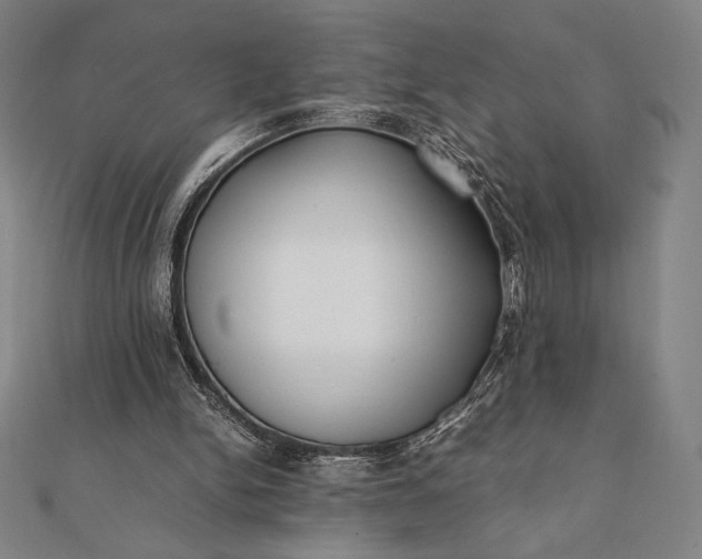 X0000112050150200908181143