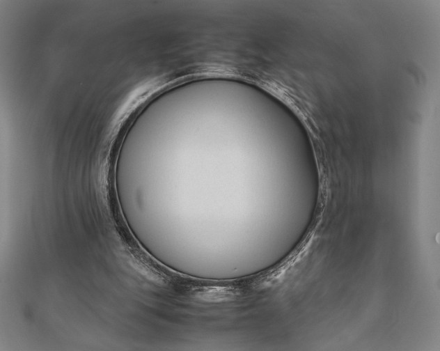 X0000112050151200908181143