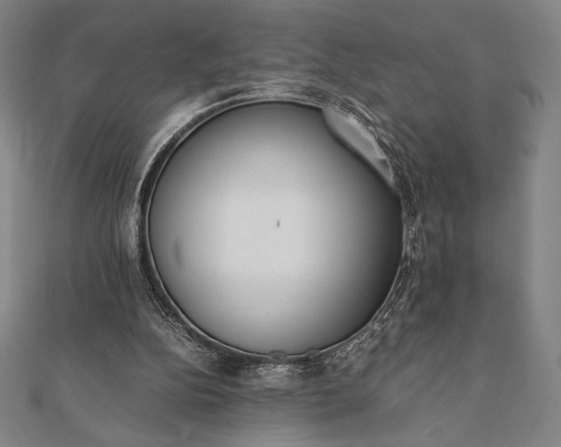 X0000112050152200908181143