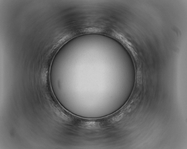 X0000112050153200908181144