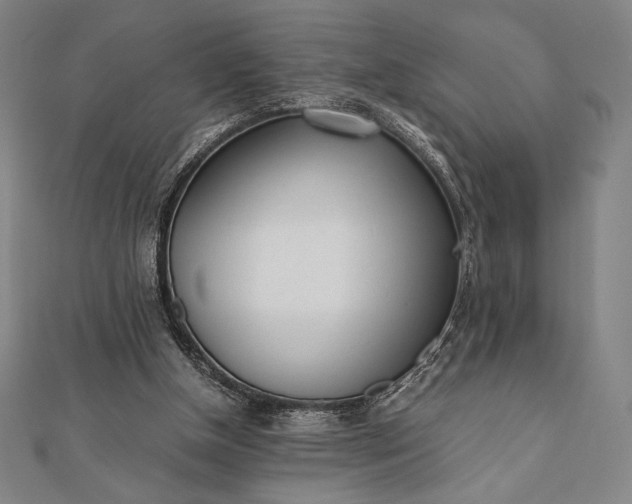 X0000112050154200908181144