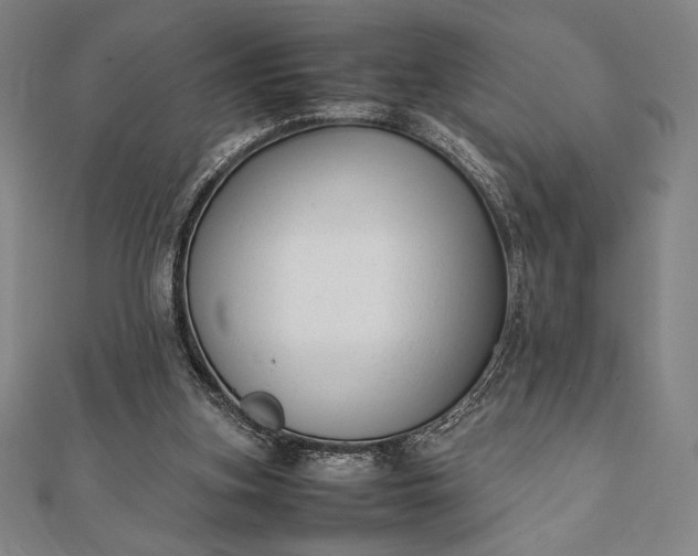 X0000112050155200908181144