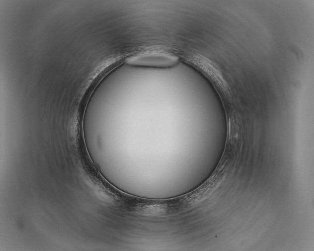 X0000112050156200908181144