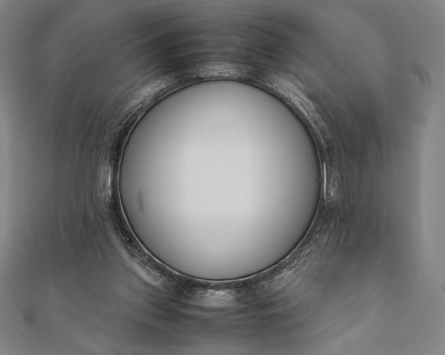 X0000112050157200908181144