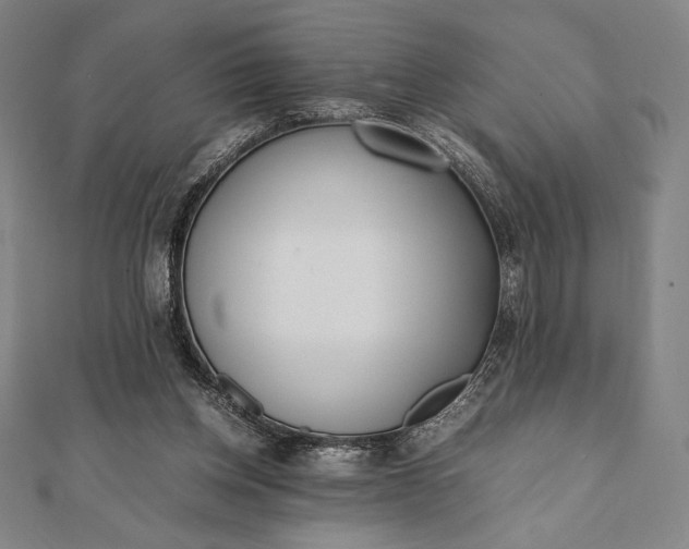 X0000112050158200908181144