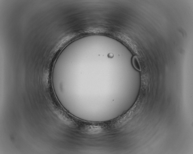 X0000112050159200908181144