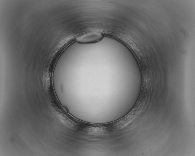 X0000112050160200908181144