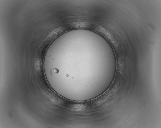 X0000112050161200908181144