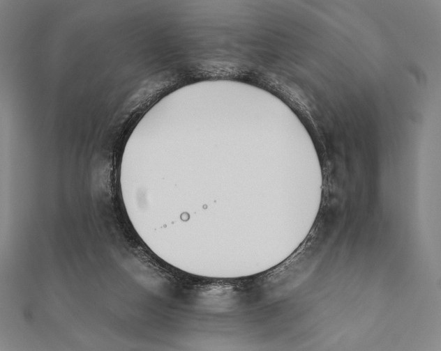 X0000112050162200908181144