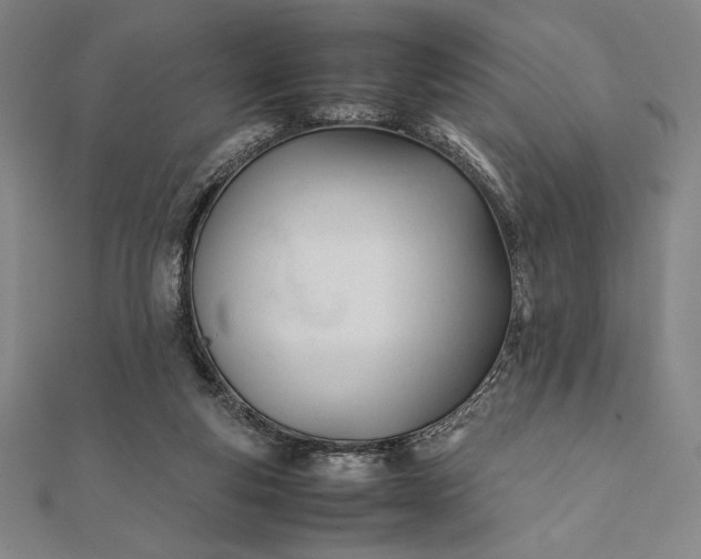 X0000112050163200908181144