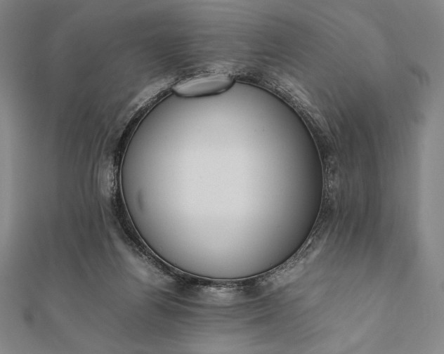 X0000112050164200908181144