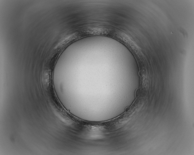 X0000112050165200908181144