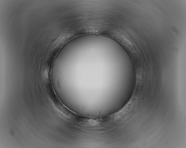 X0000112050166200908181144