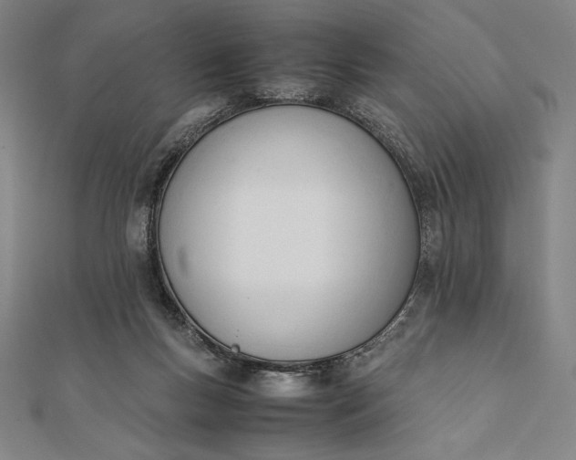 X0000112050167200908181144