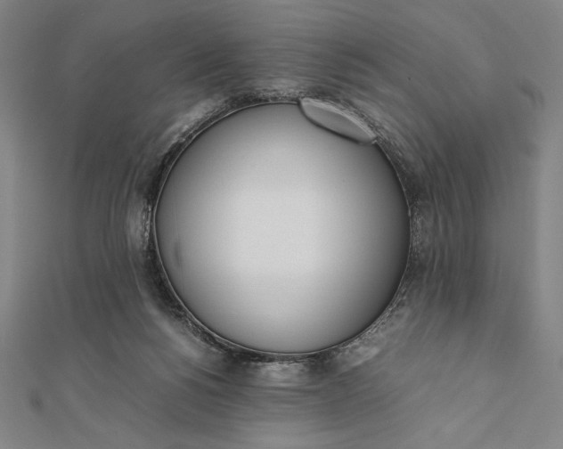 X0000112050168200908181144