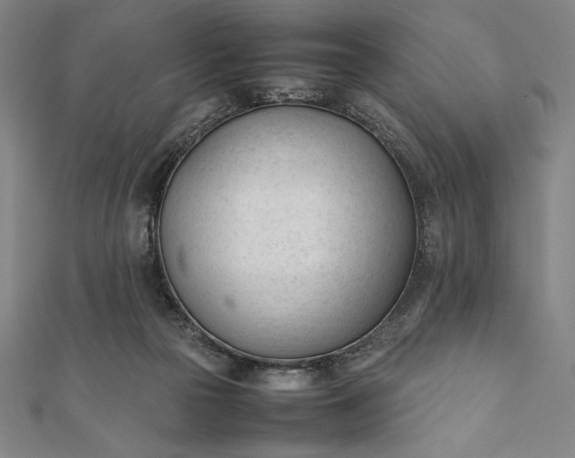 X0000112050169200908181144