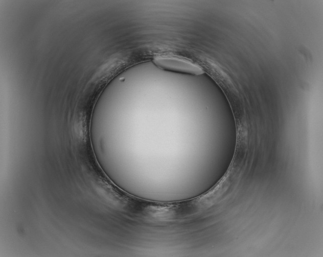 X0000112050170200908181144