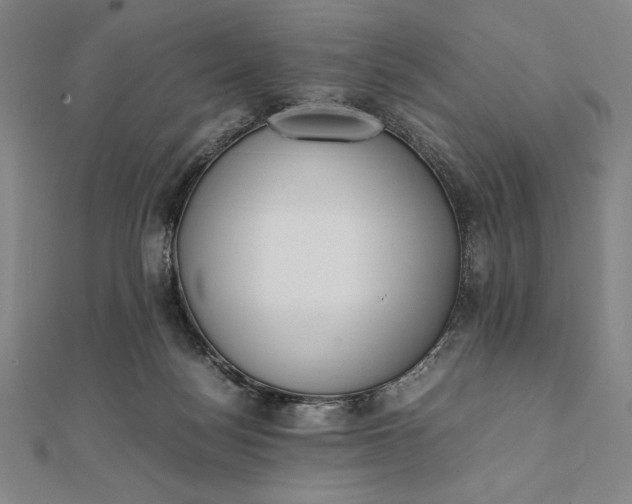 X0000112050172200908181144