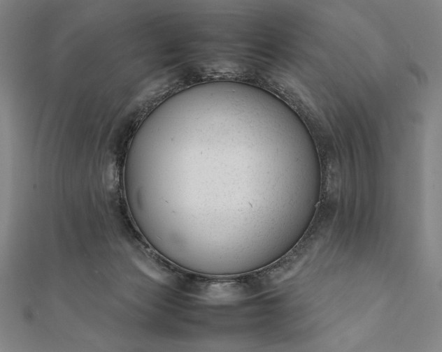 X0000112050173200908181144