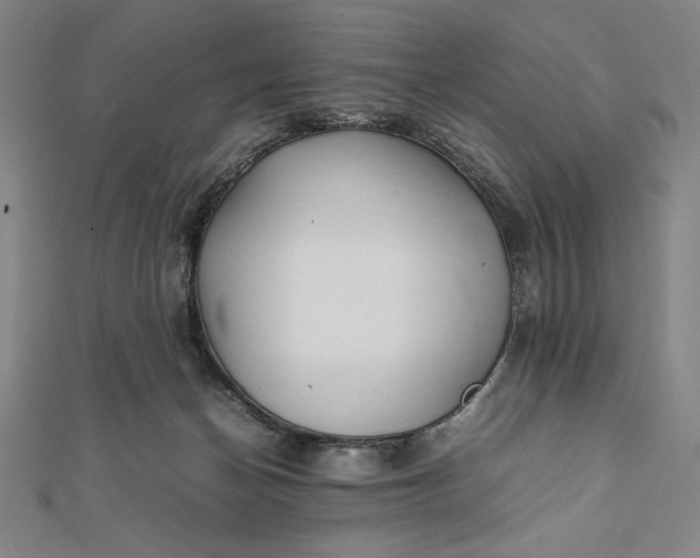 X0000112050174200908181144