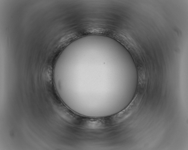 X0000112050175200908181144