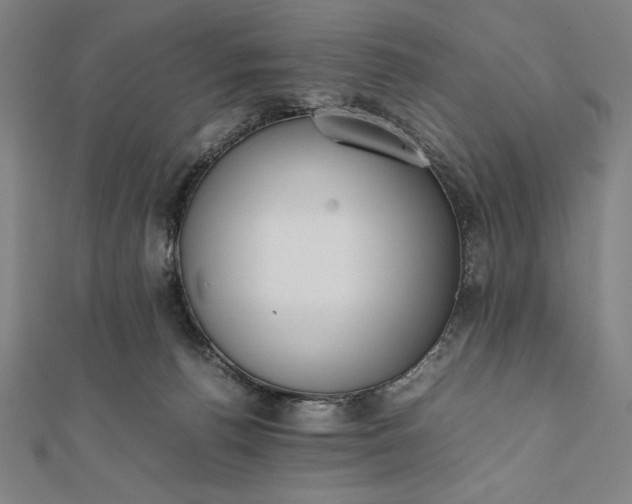 X0000112050176200908181144