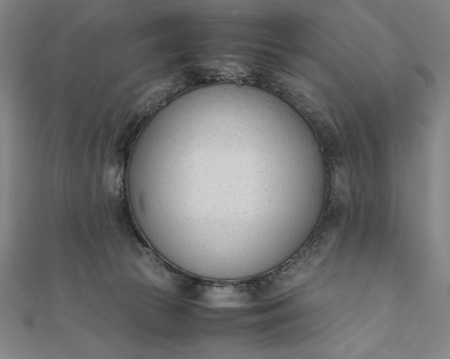 X0000112050177200908181144