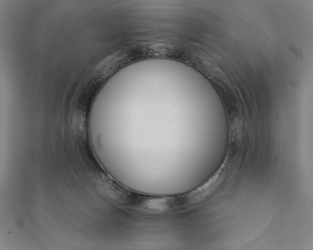 X0000112050178200908181144