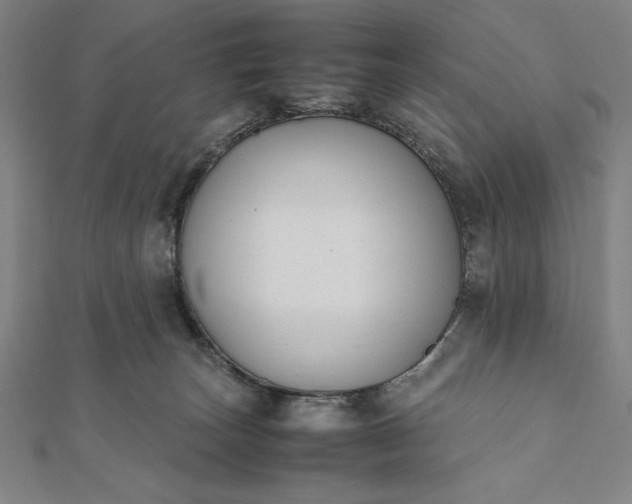 X0000112050179200908181144