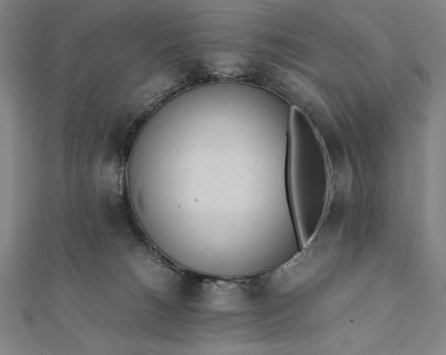 X0000112050180200908181144