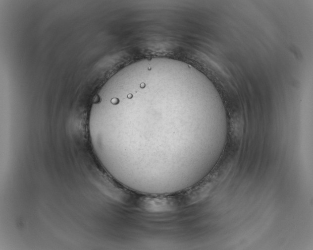 X0000112050181200908181144