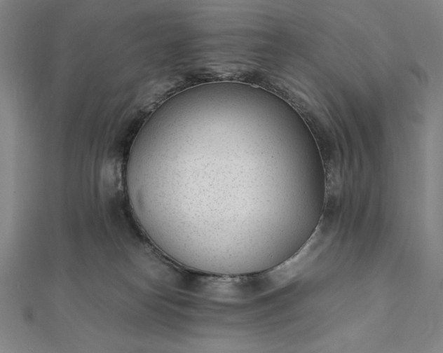 X0000112050182200908181144