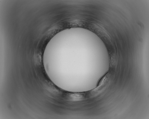 X0000112050183200908181144