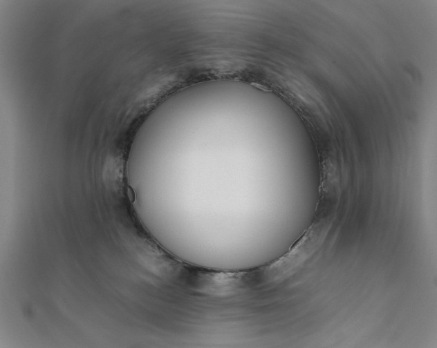 X0000112050184200908181144