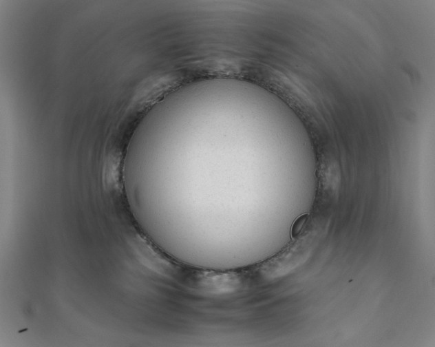 X0000112050185200908181144