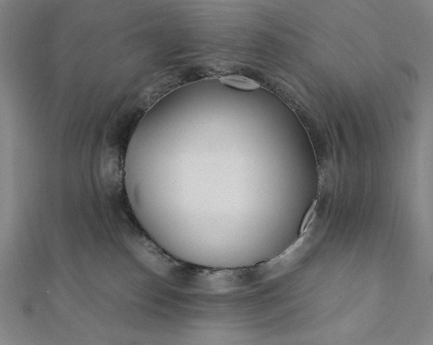 X0000112050186200908181144