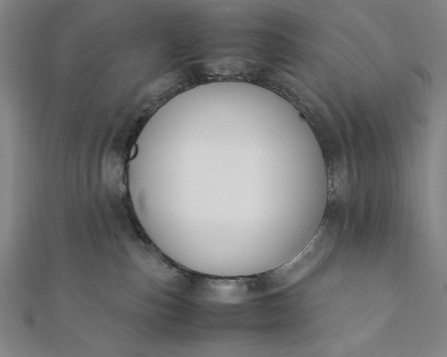 X0000112050187200908181144