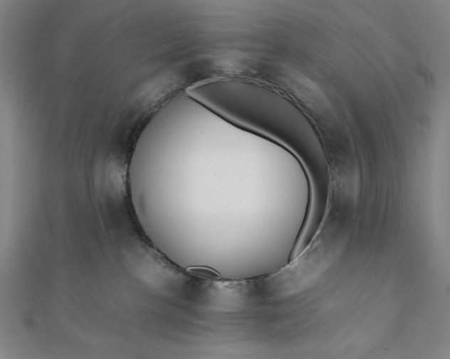 X0000112050188200908181144