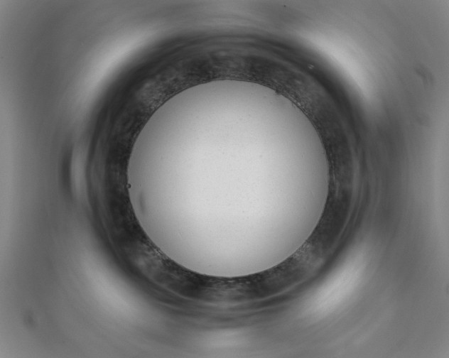 X0000112050189200908181144