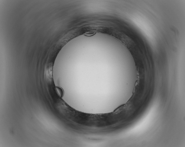 X0000112050190200908181144