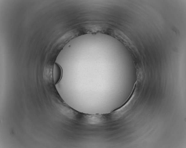 X0000112050191200908181144