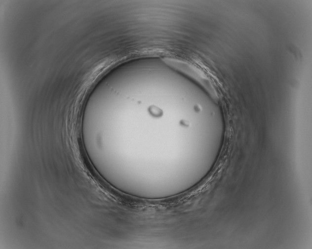 X0000112050193200908181143